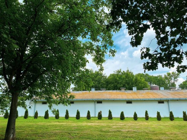 image00001 1 1024x768